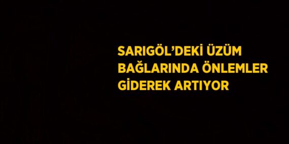 SARIGÖL’DEKİ ÜZÜM BAĞLARINDA ÖNLEMLER GİDEREK ARTIYOR