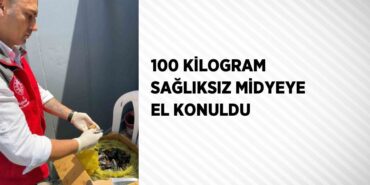 30048303392075522931