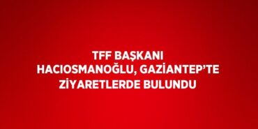 30048315812657321251tasarimli