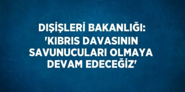 30049217232873520121tasarimli