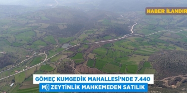 30058247962188629380tasarimli