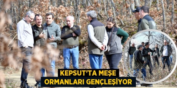 KEPSUT’TA MEŞE  ORMANLARI GENÇLEŞİYOR