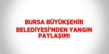 30063229672275520045tasarimli