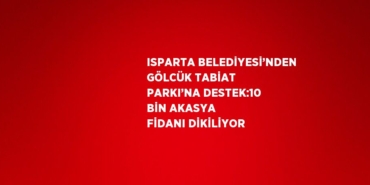 30068319062883130271