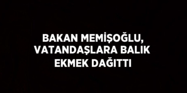 30070207992793324011tasarimli