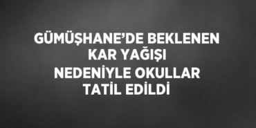 30073318742586525387tasarimli