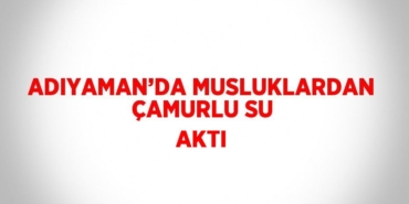 30084264072855129011tasarimli