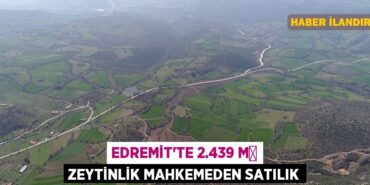 30085293342178721449tasarimli
