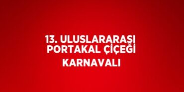 30088249652435329748tasarimli