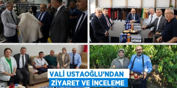 VALİ USTAOĞLU’NDAN  ZİYARET VE İNCELEME