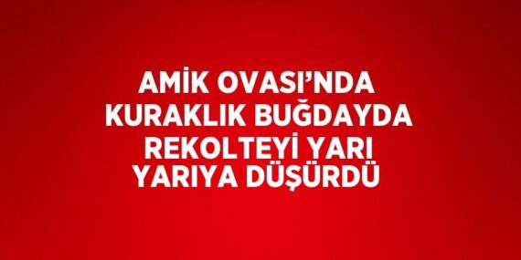 AMİK OVASI’NDA KURAKLIK BUĞDAYDA REKOLTEYİ YARI YARIYA DÜŞÜRDÜ