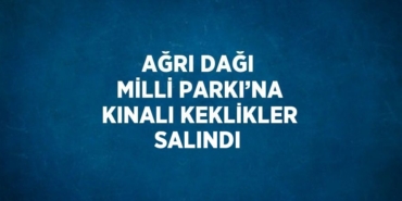 30092277192578228294tasarimli