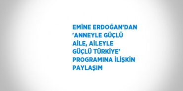 30096304812038522501