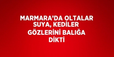 30098263252592926527tasarimli