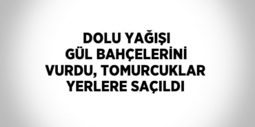 30099235912208731336tasarimli
