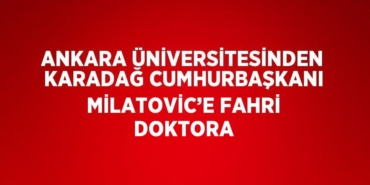 30101235062003928365tasarimli
