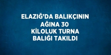 30102247952266226416tasarimli