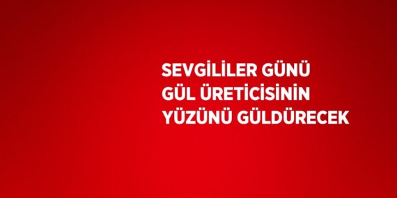 SEVGİLİLER GÜNÜ GÜL ÜRETİCİSİNİN YÜZÜNÜ GÜLDÜRECEK
