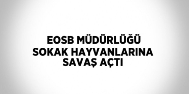 30111297183018329203tasarimli