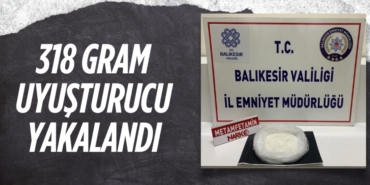 30113260663089324012