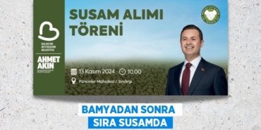 30118280442729225040tasarimli