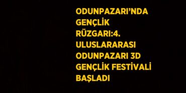 30119308742398430001