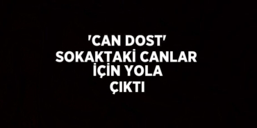 30125272542091831337tasarimli