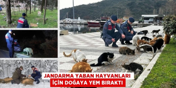 JANDARMA YABAN HAYVANLARI İÇİN DOĞAYA YEM BIRAKTI