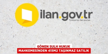 30134211212535230679tasarimli