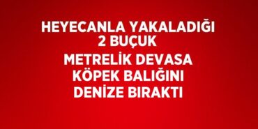 30142216502624021365tasarimli