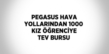30151271093076230858tasarimli