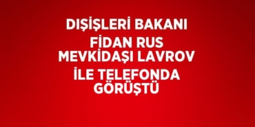 30155214102414022747tasarimli