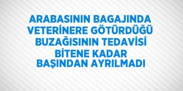 30157315392345820652tasarimli