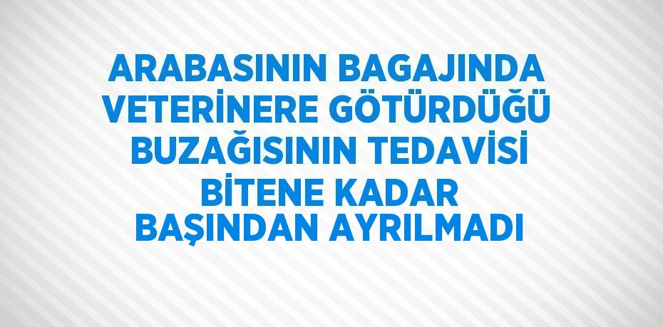 30157315392345820652tasarimli