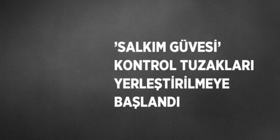 ’SALKIM GÜVESİ’ KONTROL TUZAKLARI YERLEŞTİRİLMEYE BAŞLANDI