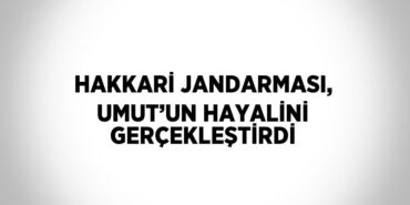 30162312012785225728tasarimli