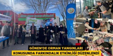 30167262492652831738tasarimli