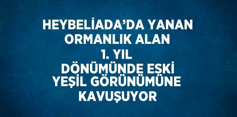 30168200643120823424tasarimli