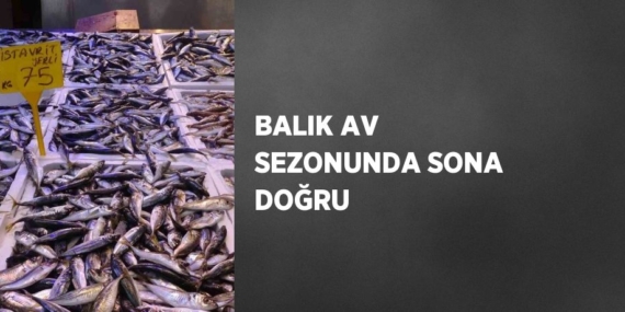 BALIK AV SEZONUNDA SONA DOĞRU