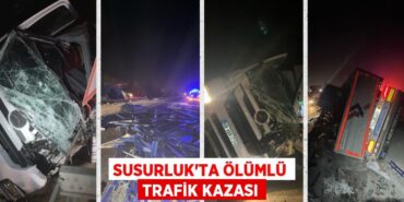 30171301002187831037tasarimli