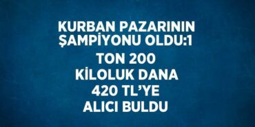 30174295062359720978tasarimli