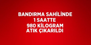 30179211122313421649tasarimli