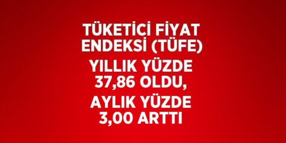 TÜKETİCİ FİYAT ENDEKSİ (TÜFE) YILLIK YÜZDE 37,86 OLDU, AYLIK YÜZDE 3,00 ARTTI