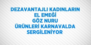 30190204342483031562tasarimli