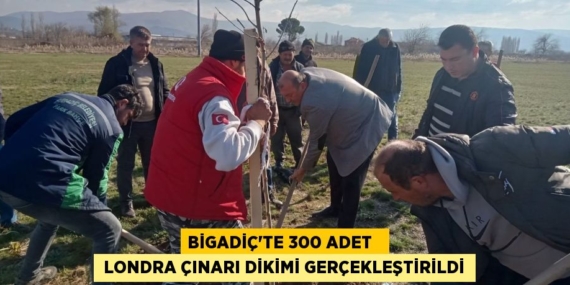 BİGADİÇ’TE 300 ADET    LONDRA ÇINARI DİKİMİ GERÇEKLEŞTİRİLDİ
