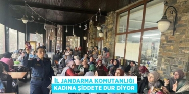 30195255872497525060tasarimli