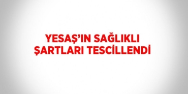 30211263802652927872tasarimli