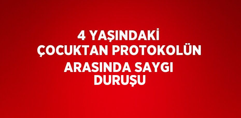 30223239432333925994tasarimli