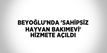 30223264852228622321tasarimli