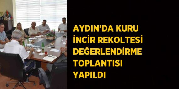 AYDIN’DA KURU İNCİR REKOLTESİ DEĞERLENDİRME TOPLANTISI YAPILDI